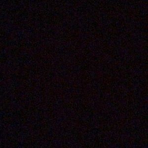 Meet your Posher, Larry